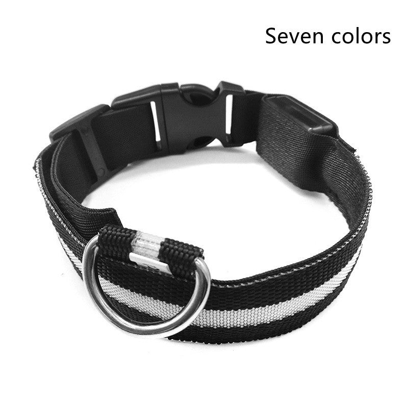 Luminous Collar Night Safety