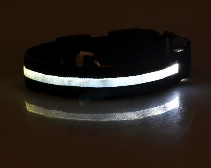 Luminous Collar Night Safety