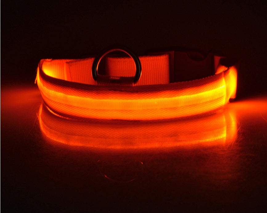 Luminous Collar Night Safety