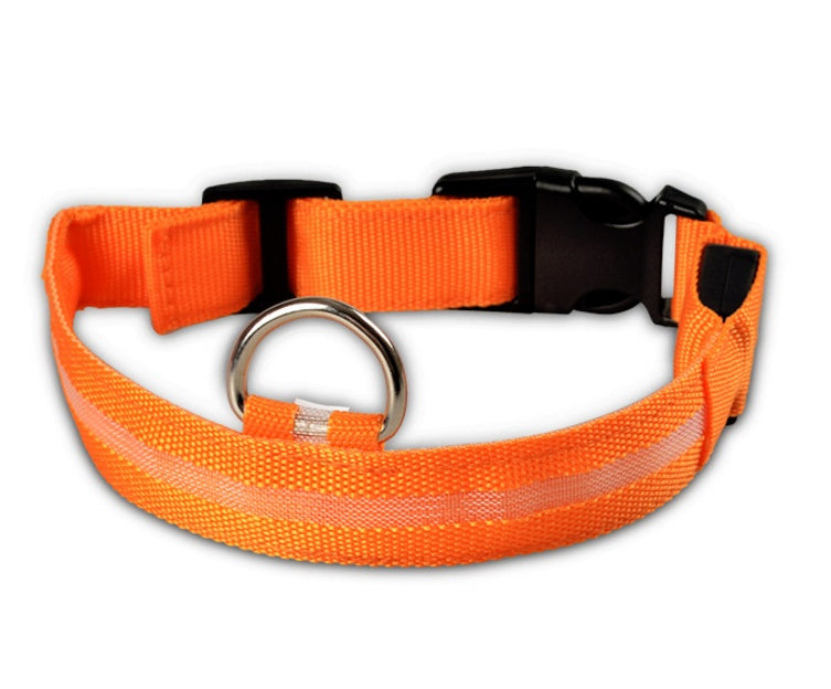 Luminous Collar Night Safety