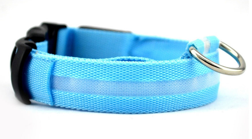 Luminous Collar Night Safety