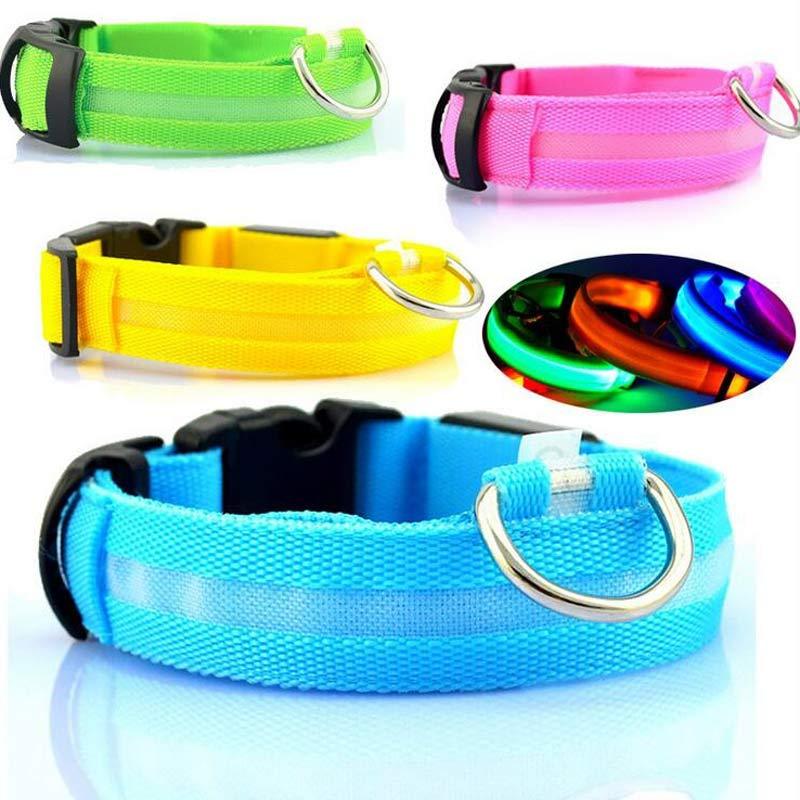 Luminous Collar Night Safety