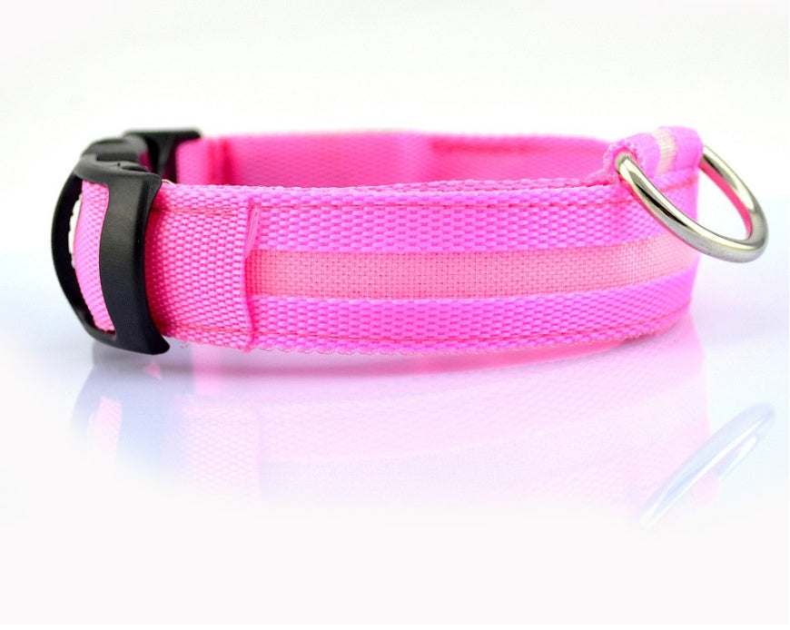 Luminous Collar Night Safety