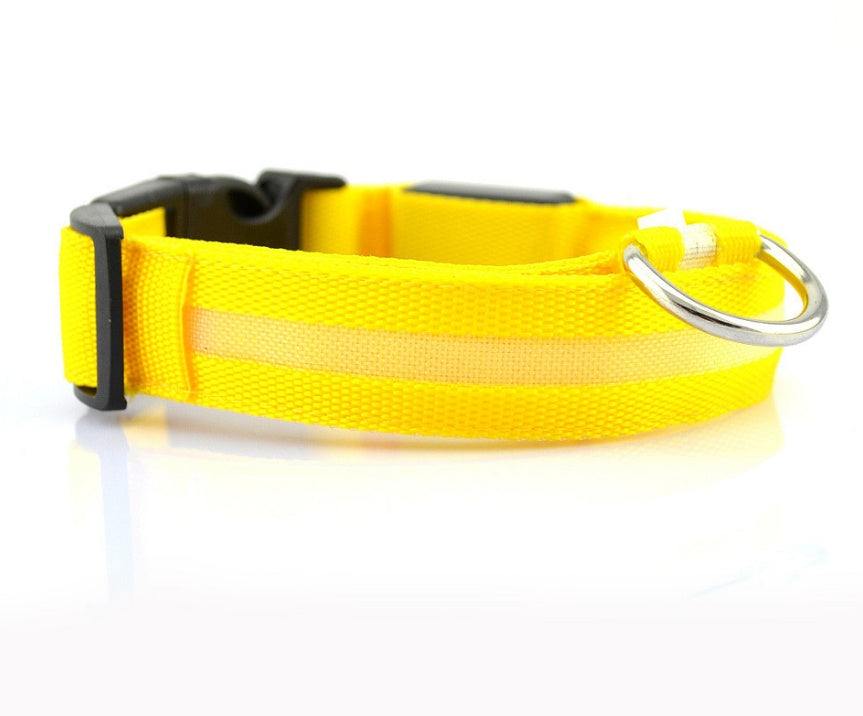 Luminous Collar Night Safety