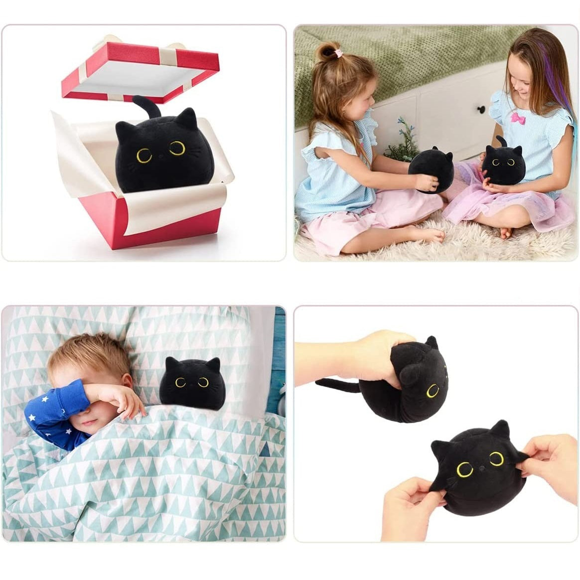 Fluffy Black Cat