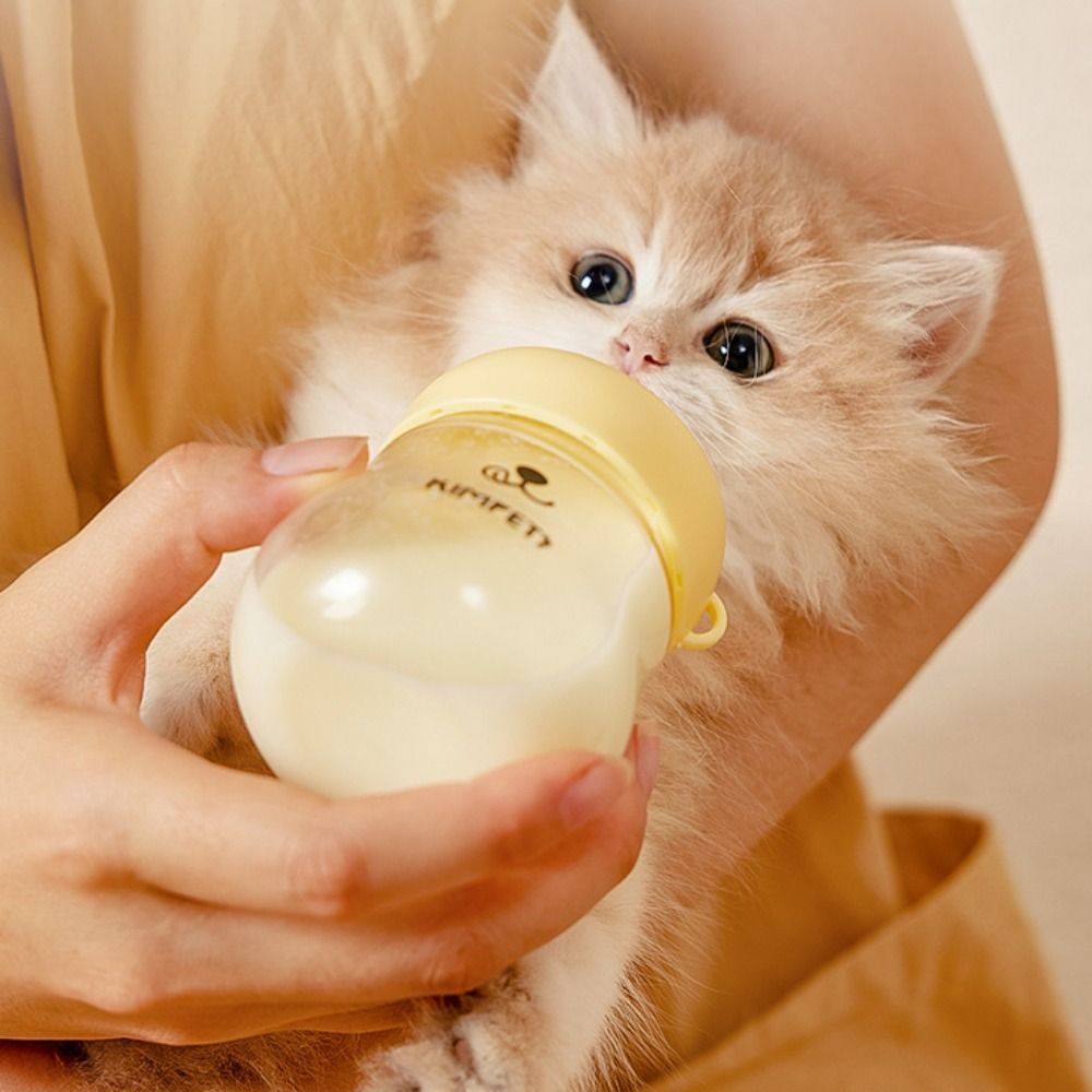 Cat Milk Bottle