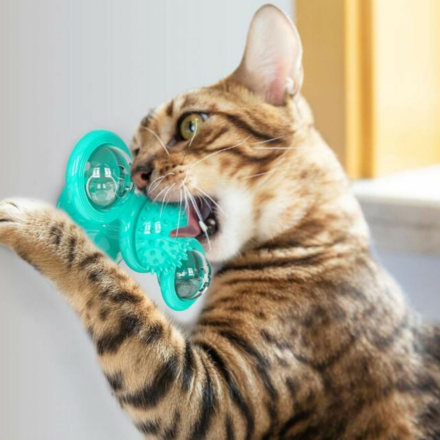 Rotating Interactive Cat Toy