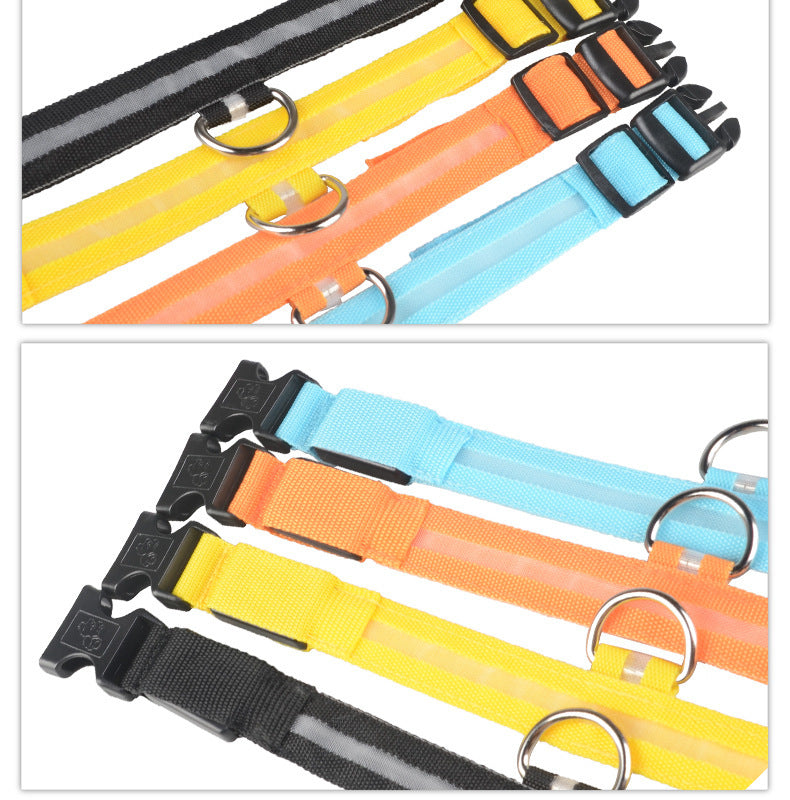Luminous Collar Night Safety