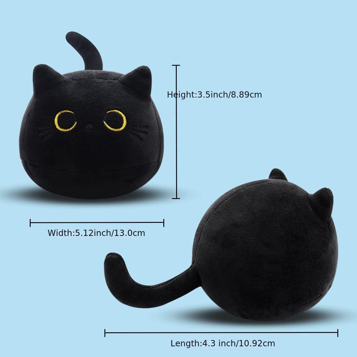 Fluffy Black Cat