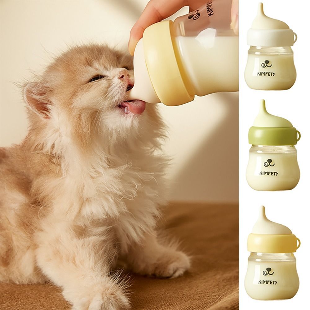 Cat Milk Bottle