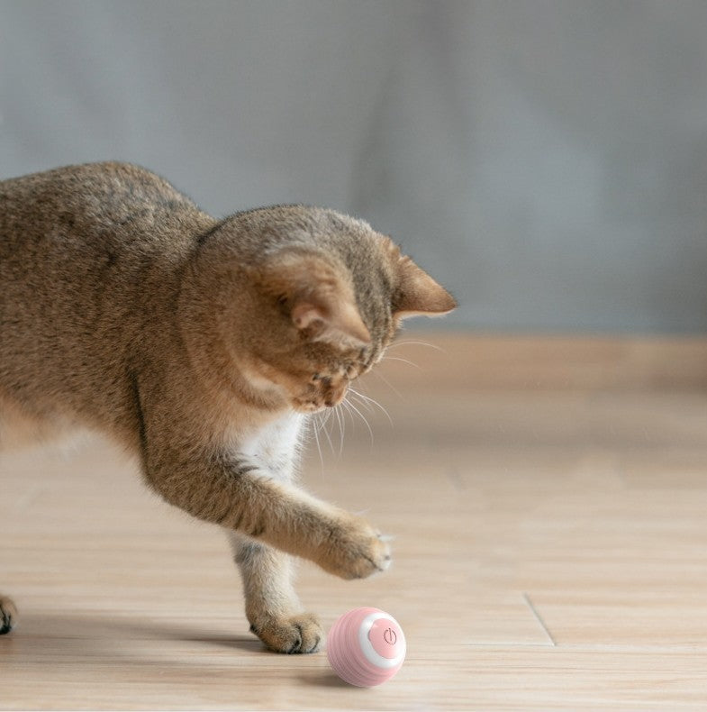 Rolling Ball Smart Cat Toy