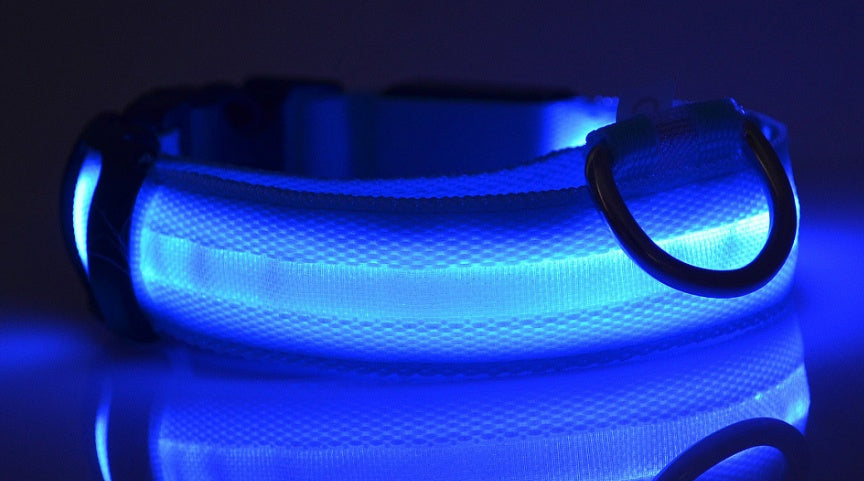 Luminous Collar Night Safety