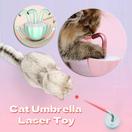 Cat Interactive Laser Toy